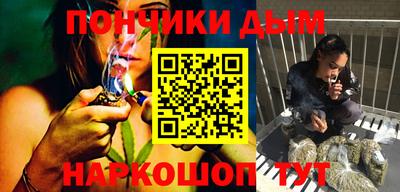 индика Кандалакша