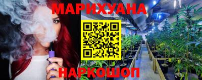 индика Кандалакша