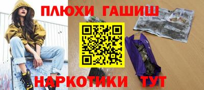 индика Кандалакша