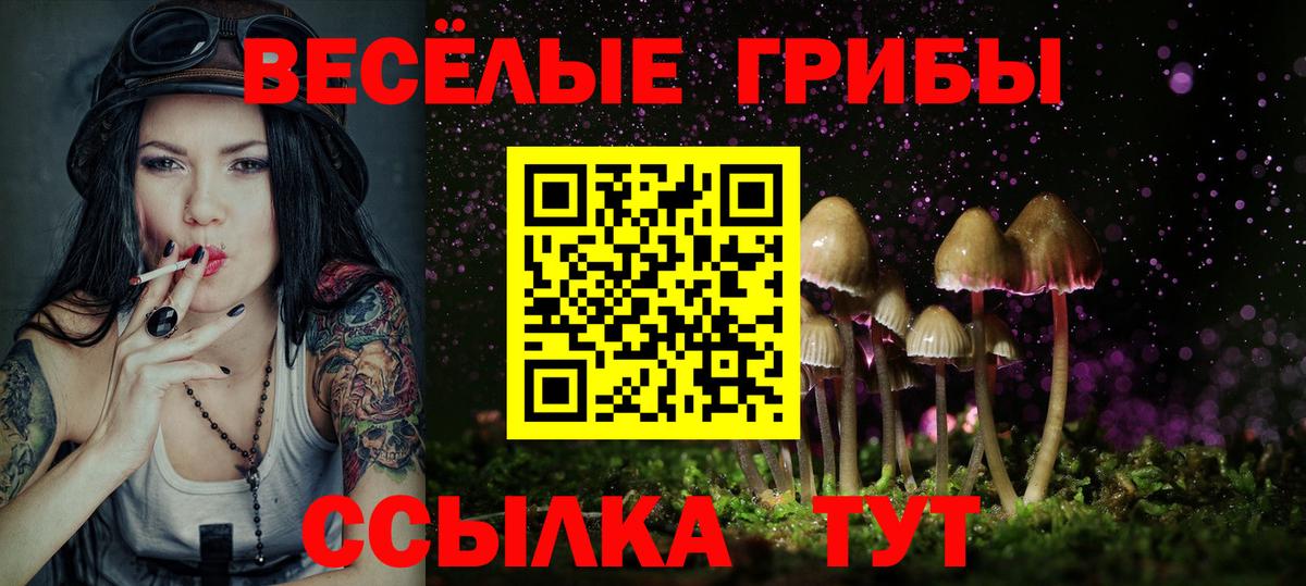 Галлюциногенные грибы Cubensis Котовск